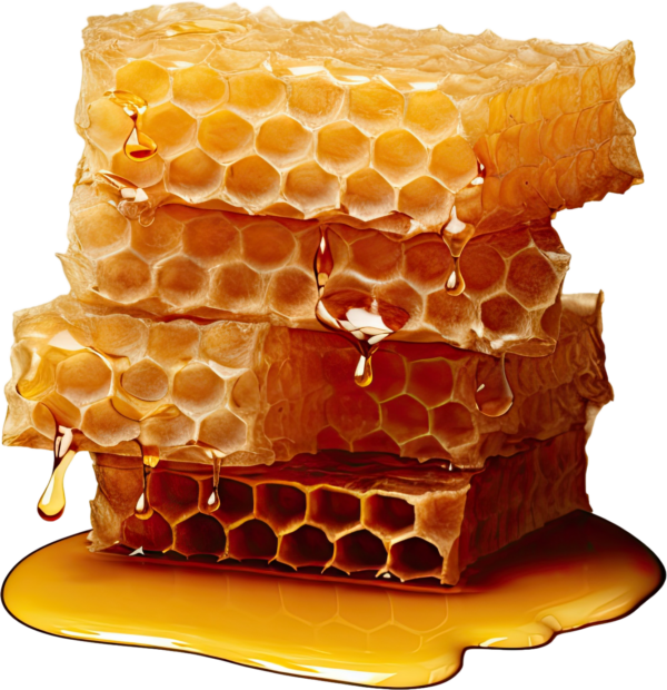 Raw Pure Honey - Image 2