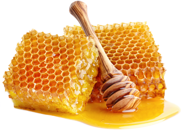Sunflower Honey - Image 2